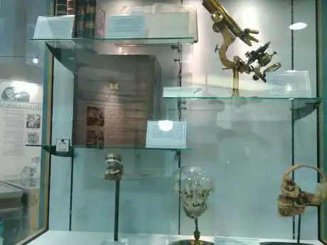 Photo de The British Dental Museum