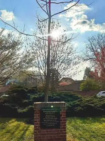 Arbre du Souvenir pour la paix, contre l'oubli