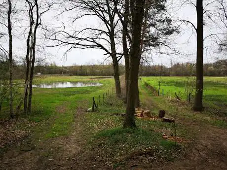 Bossen van Hees