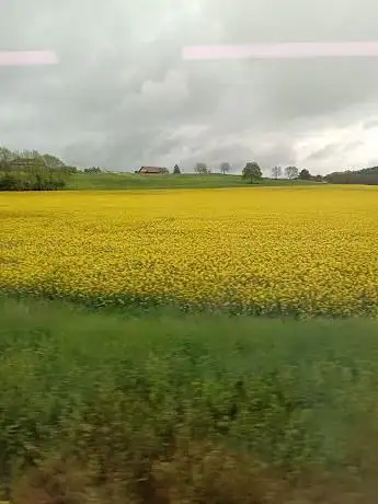 Photo de Manège de Sévery SA