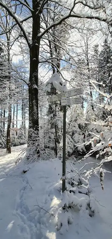 Frauenboschebene
