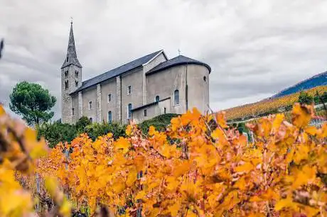 Photo de Église de St Séverin