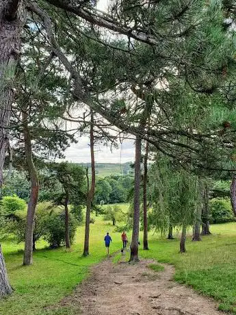 Photo de High Park