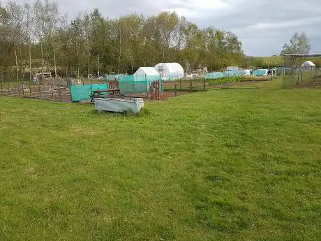 Photo de Allum Lane Allotments