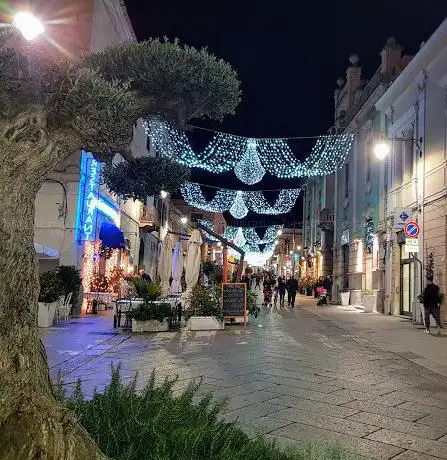 Olbia Card