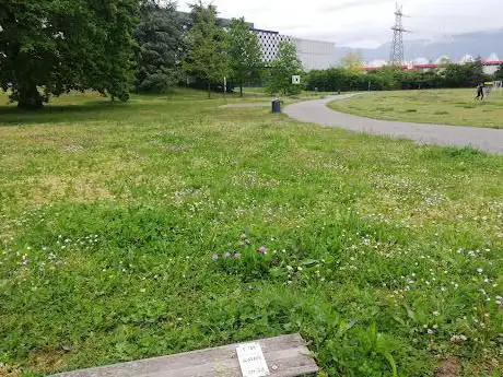 Disc Golf Parcours Sarasin