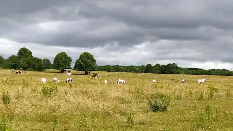 Photo de Basingstoke Common