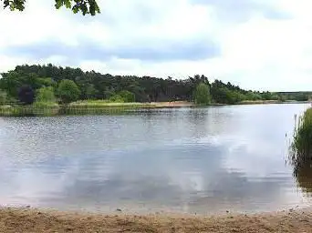 Photo de National Trust - Frensham Little Pond