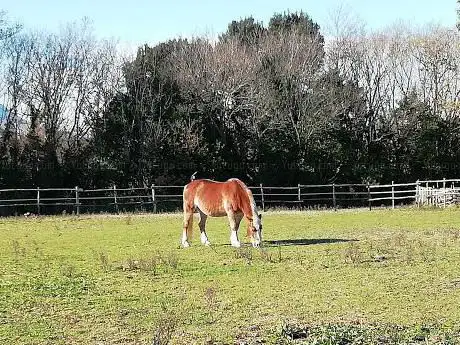 Photo de Tenuta San Biagio