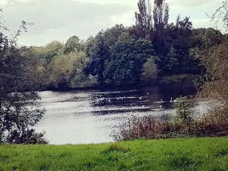 Photo de Bestwood Country Park - Mill Lakes