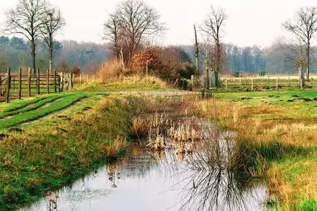 Poort Volksabdij (Kalmthoutse Heide)