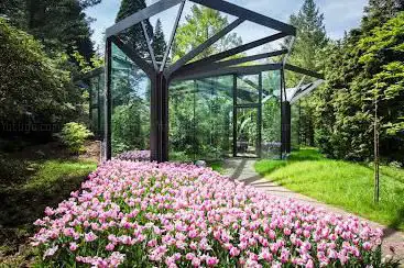 Grüningen Botanical Garden