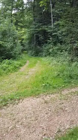 Geissfluh