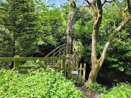 Beamish Woods
