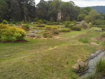 Lilaveronica Garden