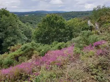 Landes de Liscuis