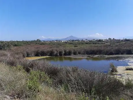 Photo de Riserva naturale Foce Volturno - Costa di Licola