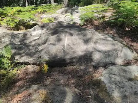 Photo de Polissoir de la Tour du Lay (mégalithe)