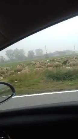 Photo de Fontanile Gambarone