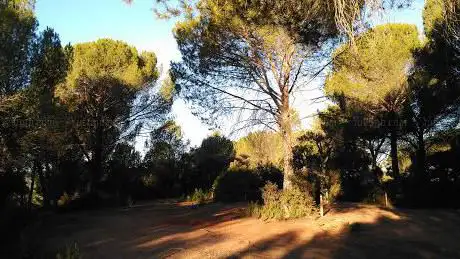 Photo de Cerro Del Pozo De La Nieve