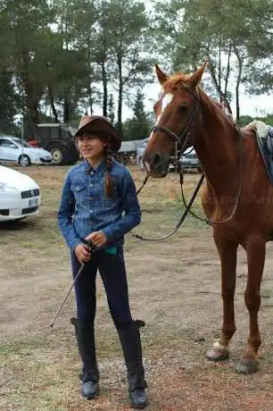 Centro Ippico Rionazza - escursioni a cavallo