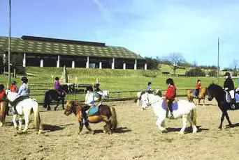 Photo de Area De Combelles Centre Équestre, Équitation