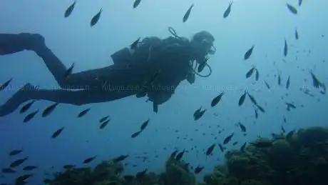 Photo de Diving Puglia D.C.