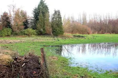 Vallei van de Molenbeek