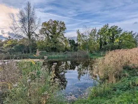 Wheatfen Broad - Ted Ellis Trust