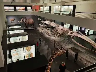 Photo de Naturhistorisches Museum Bern