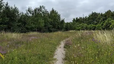 Photo de Parc de la Chaudière