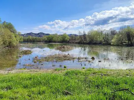 Lago degli Aironi