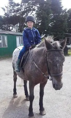 Penhalwyn Trekking Centre & School