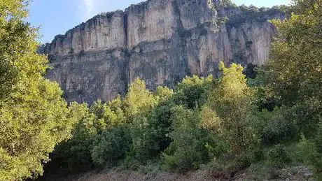 Foresta Demaniale di Montarbu
