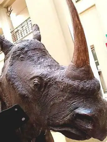 Photo de Museum of Zoology
