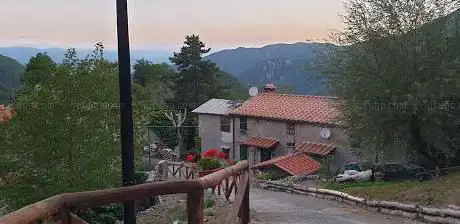 Vetriceto