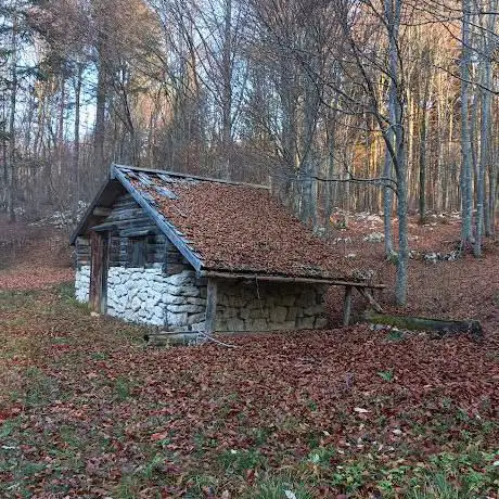Photo de Labioli Area Dimostrativa Sulle Attività Del Bosco
