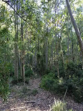 Photo de El Camaleón Park