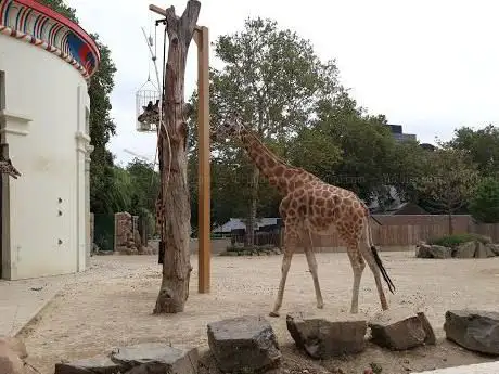 Photo de Zoo d'Anvers
