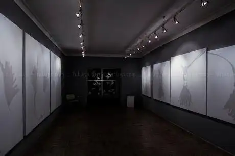 Maja Arte Contemporanea