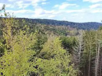Rocher du loup (Wolfsfelsen)