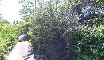 Photo de Jardin Jard Coder