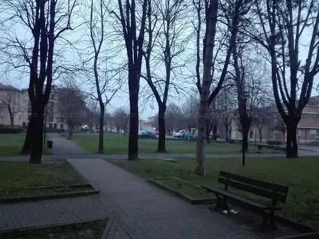 Area Fassini