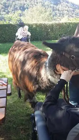 Photo de La ferme « l'ami des Andes »