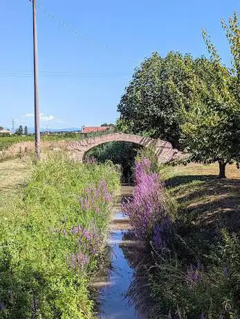 Photo de Ciclopedonale del canale Naviglio Zanelli