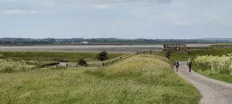 Swale Viewing Screen