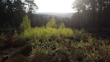Aussichtspunkt Rummelshald