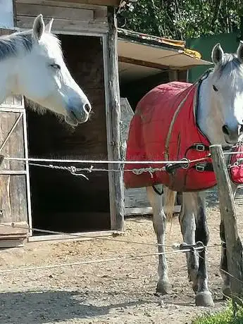 Photo de Il Regno del Cavallo ASD