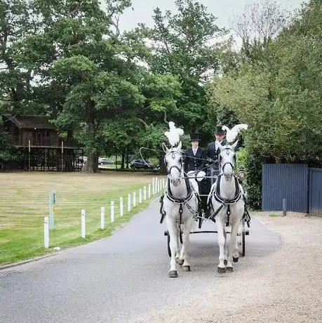 Photo de Heritage Horse Drawn Carriage Masters