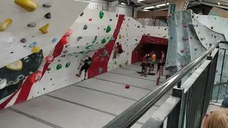 Red Spider Climbing